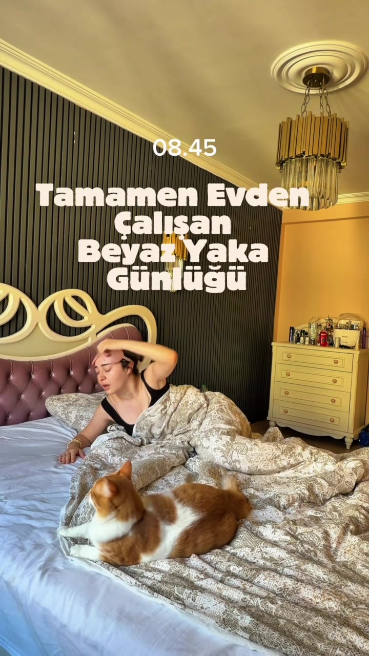 @zeynfluense