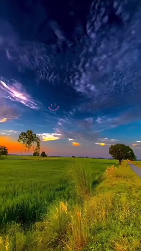 @⚔️🍁🍁Amjad Awaن🍁🍁⚔️