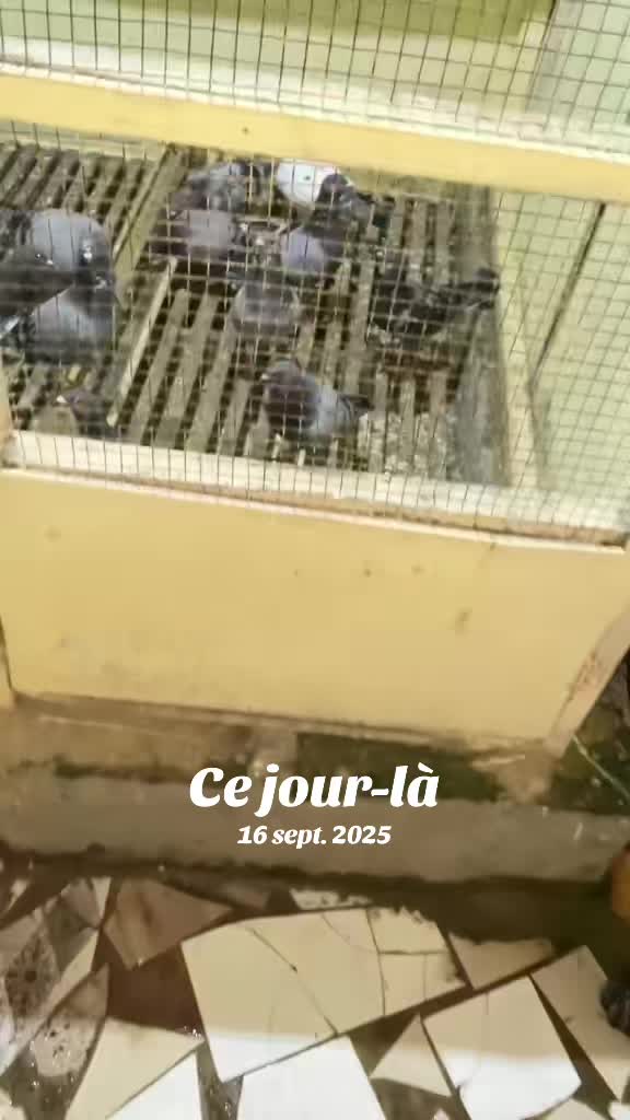 @OMZOLOFT🕊🦜🇸🇳