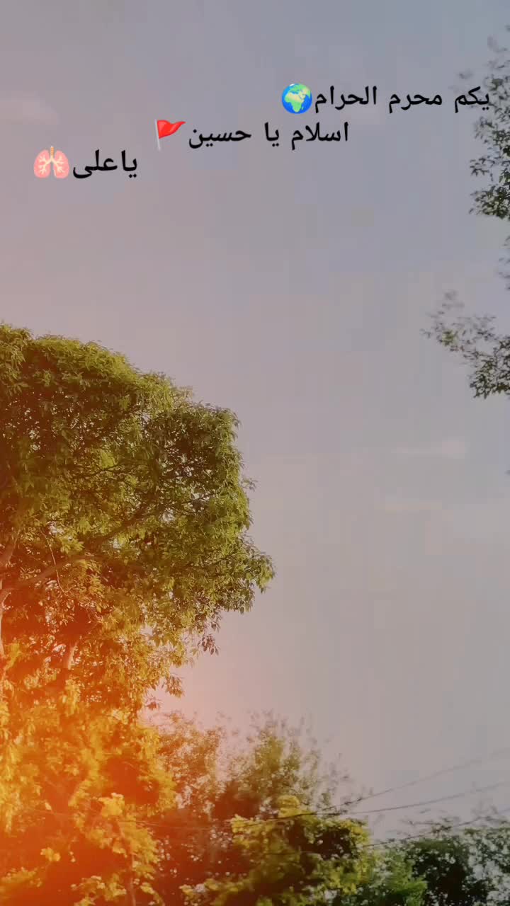 @mk~khokhar🦁