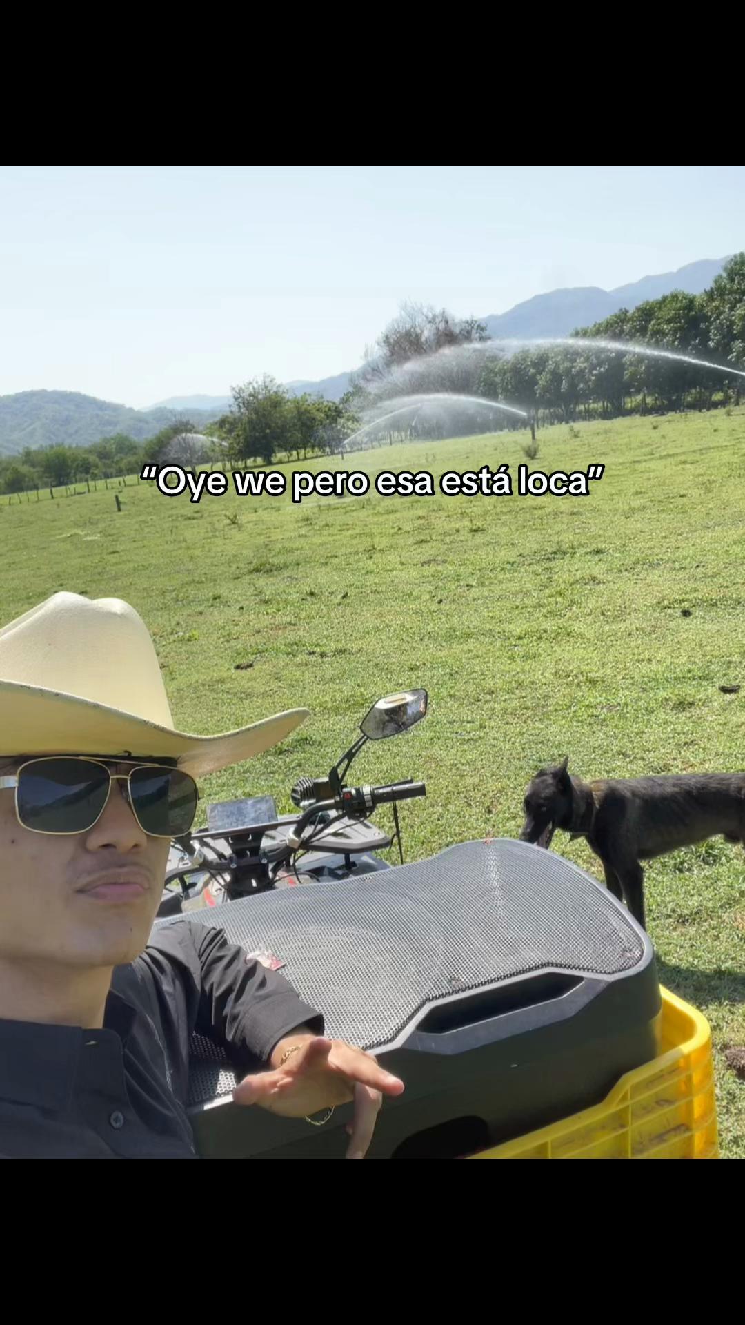 @andy_mismo🐶