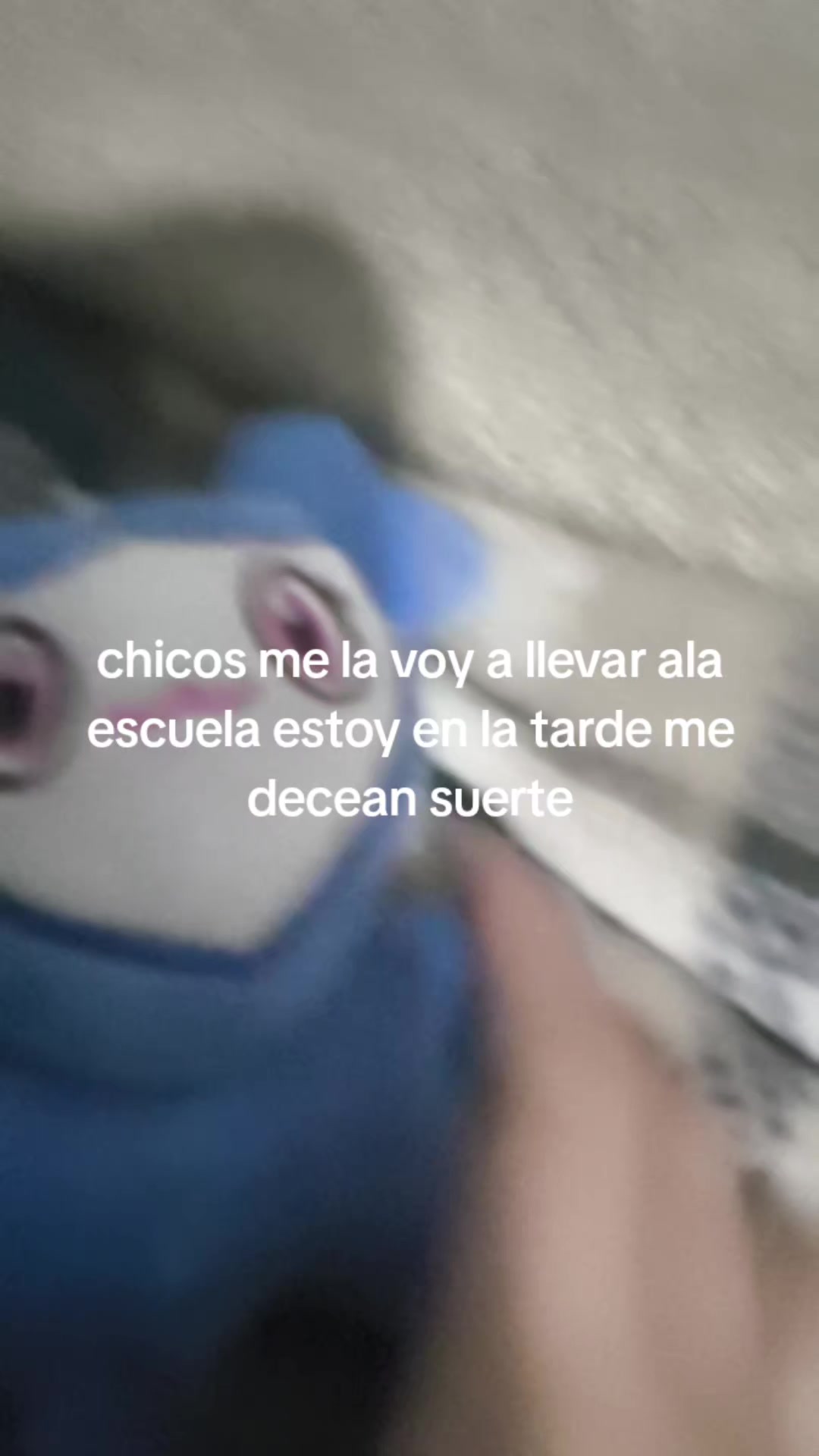 @— ˗ˋ ୨karii୧ ˊ˗ —🌸