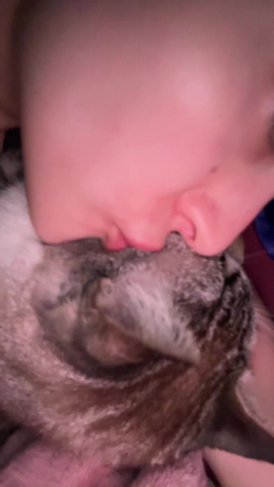 @Camila Pietrowski