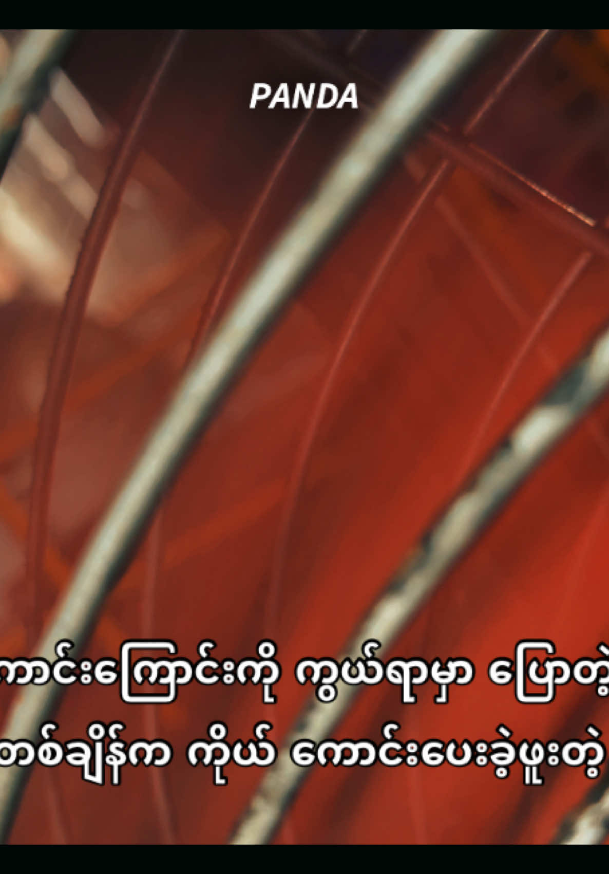 @𝙋𝘼𝙉𝘿𝘼