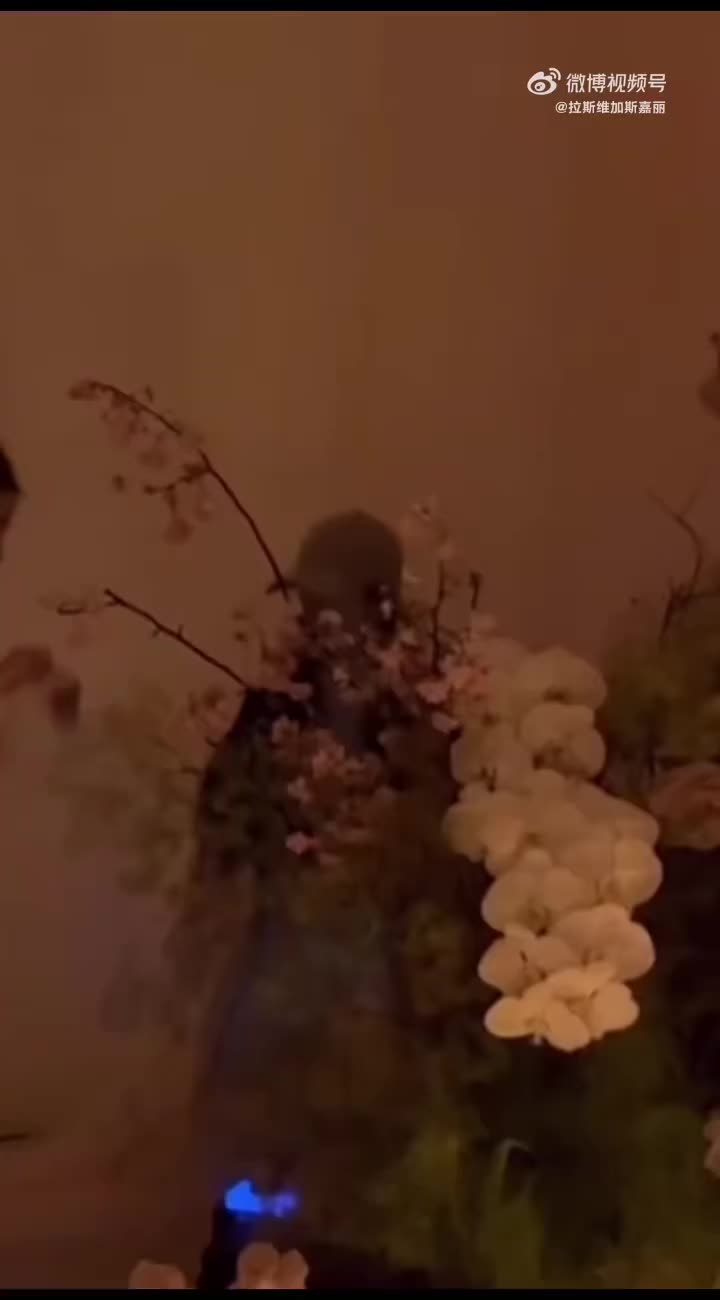 @Cái đuôi nhỏ của Lusi