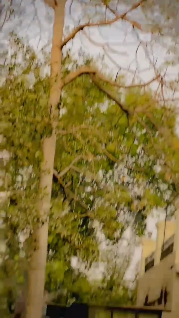 @SK AFRIDI