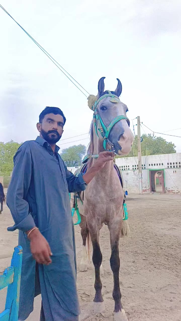 @Ameer kazmi5