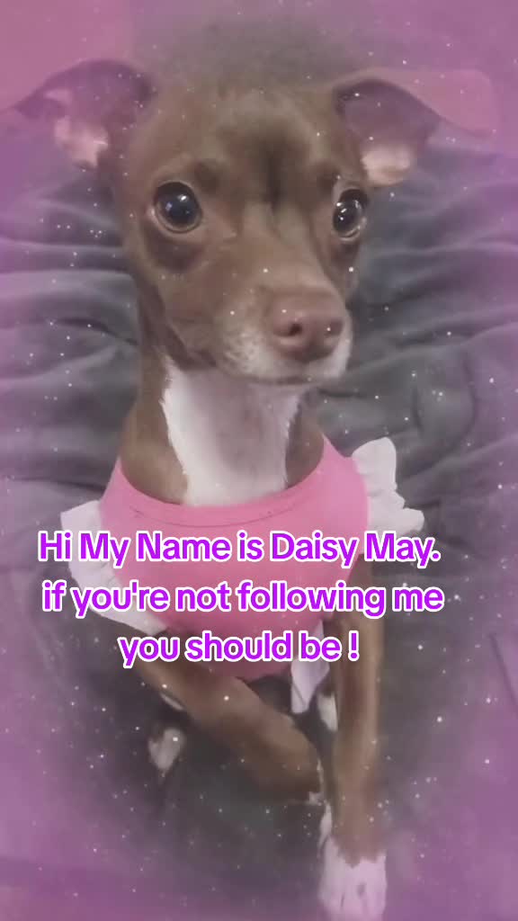 @DAISY MAY