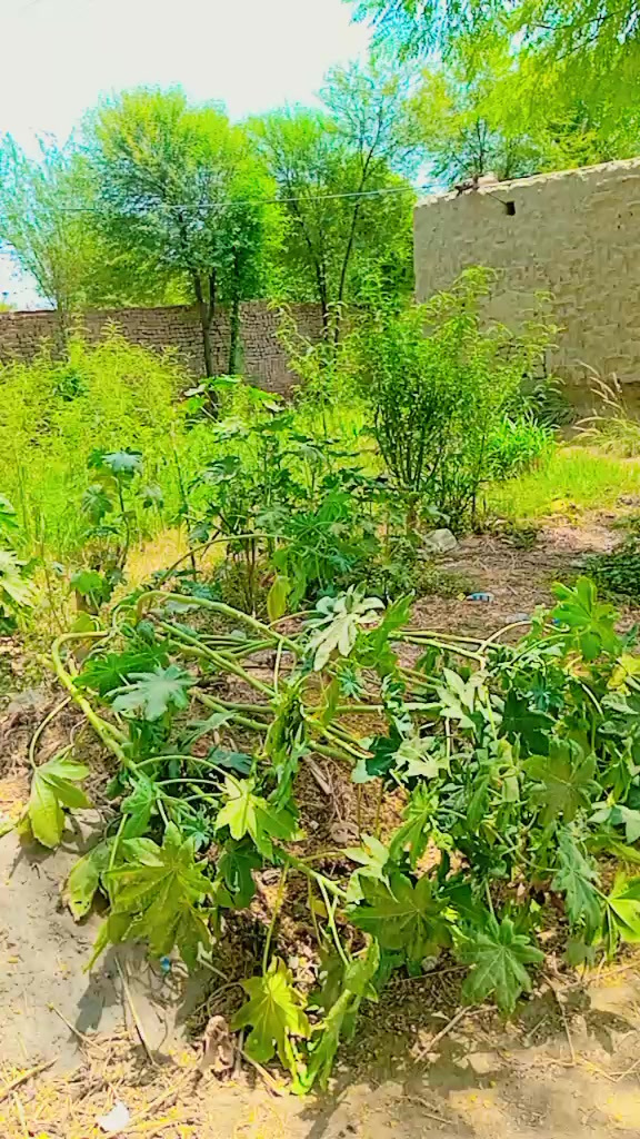 @Khan gujjar