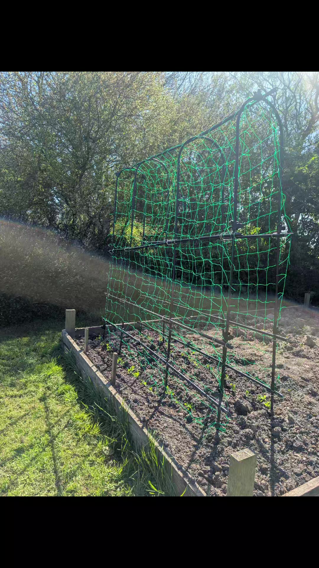@Court Farm: Home & Garden