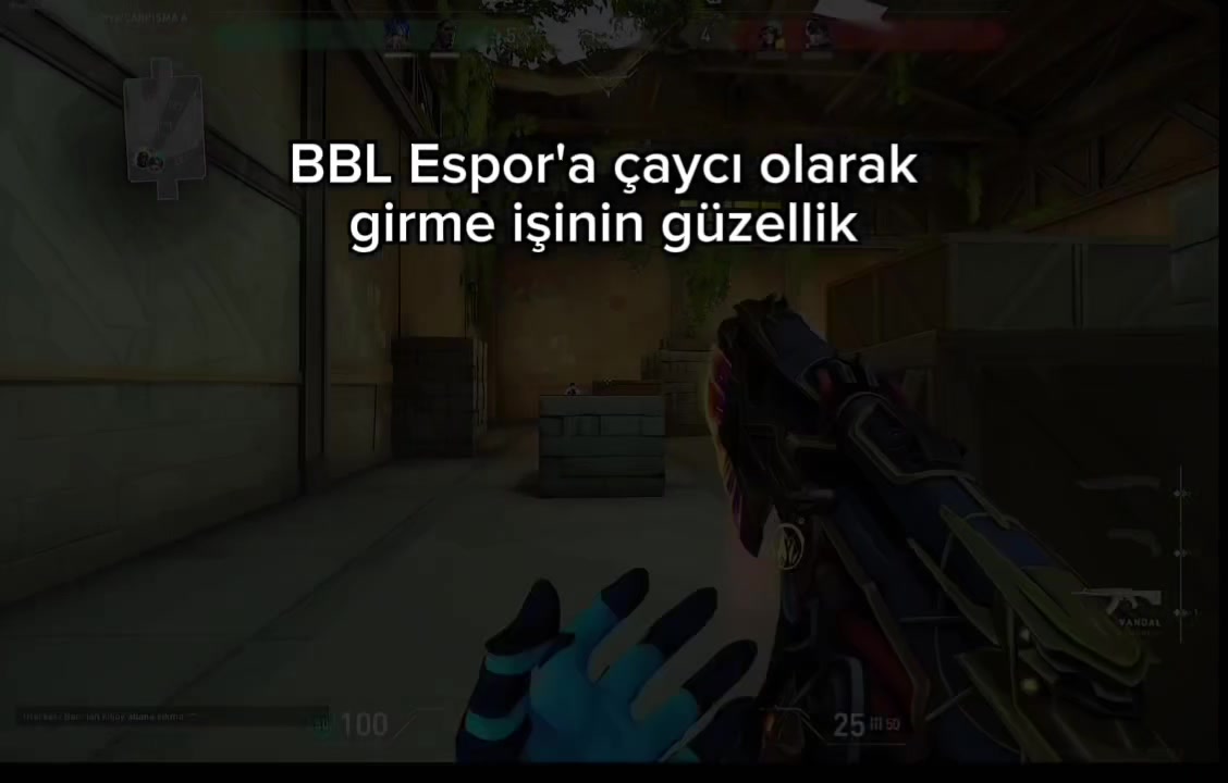 @mustafawdq