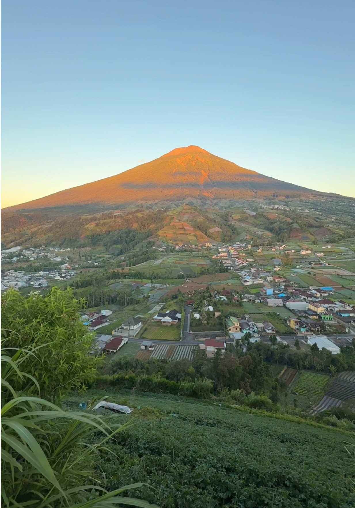 @Purbalingga