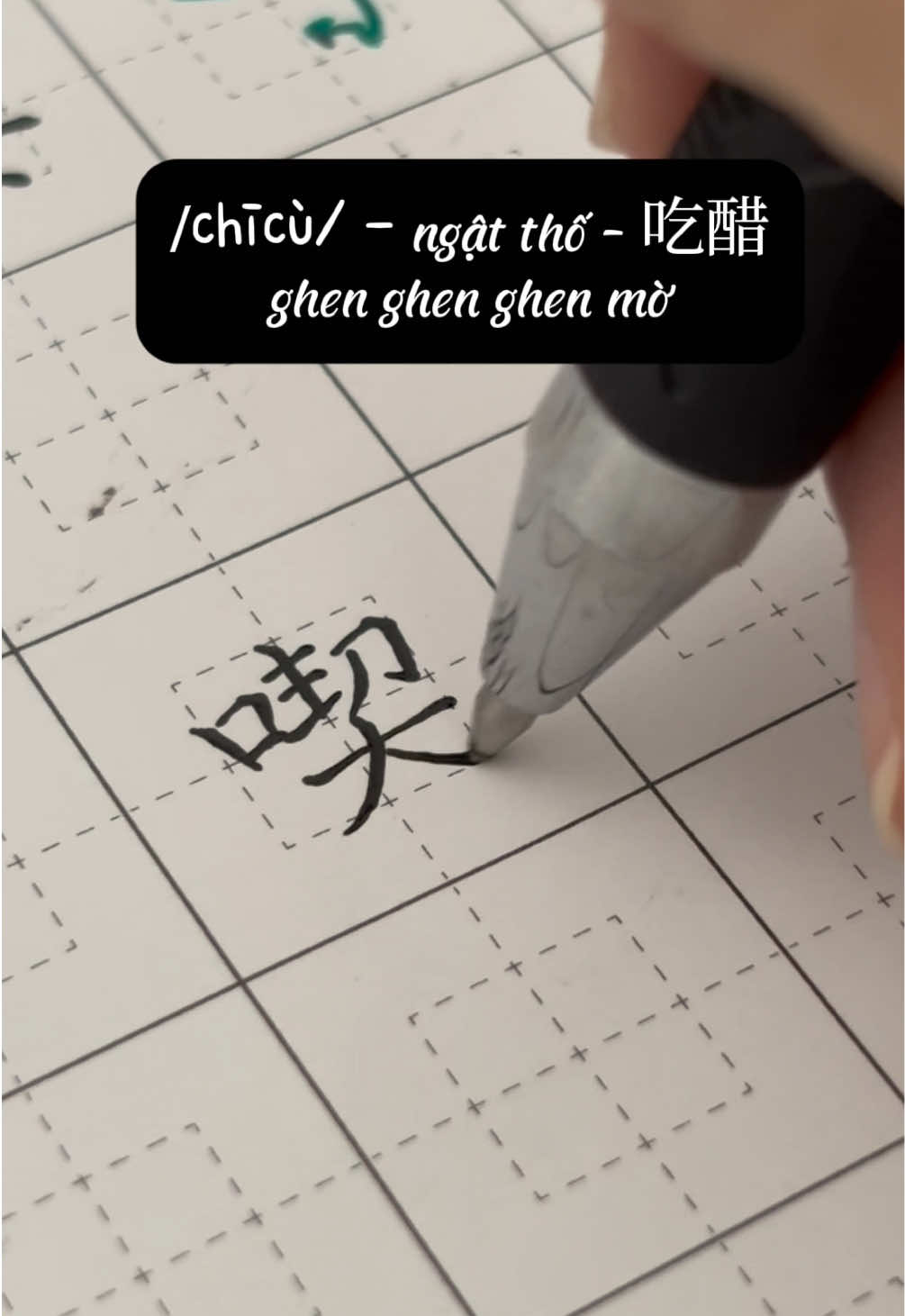 @🌷Mộc Mộc🌱木木丽红