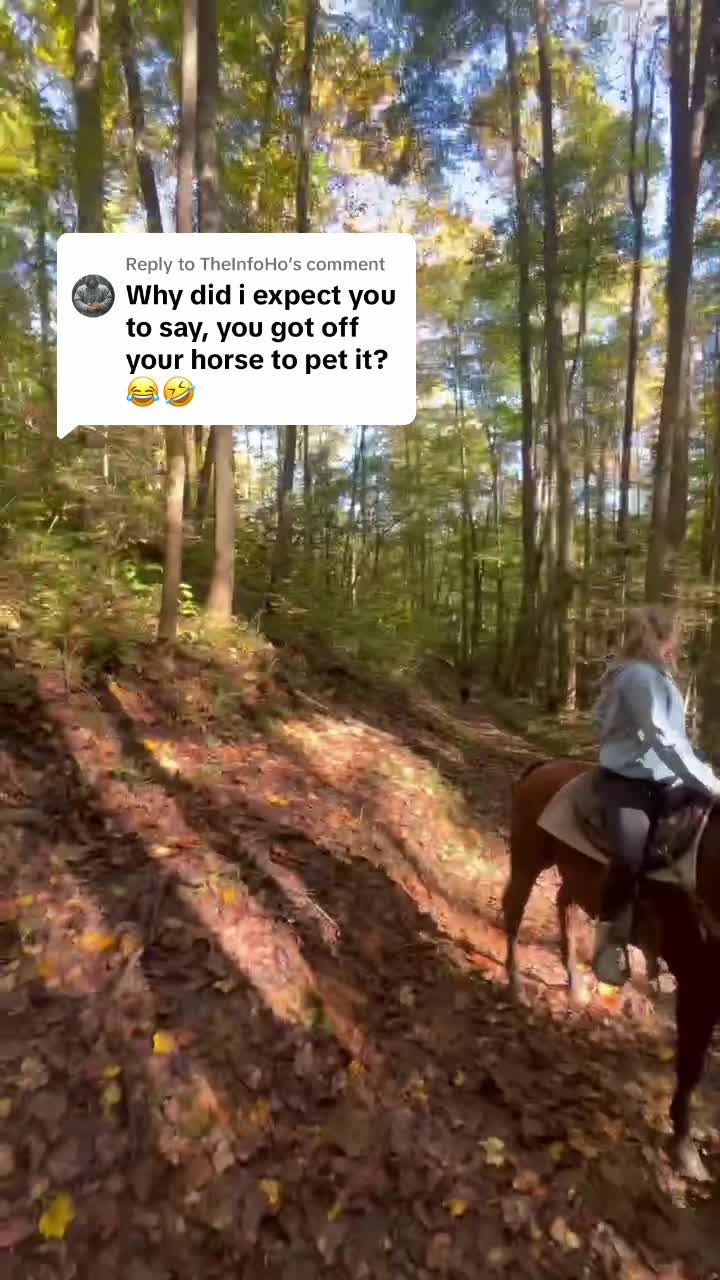 @Paige Sparks