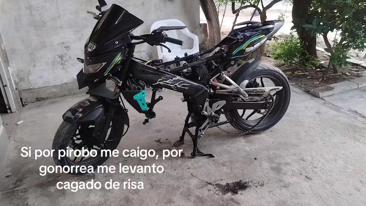 @Josa_🦈
