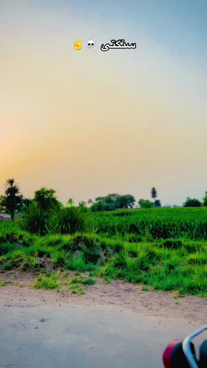 @کمانڈر ابوبکر گرواں