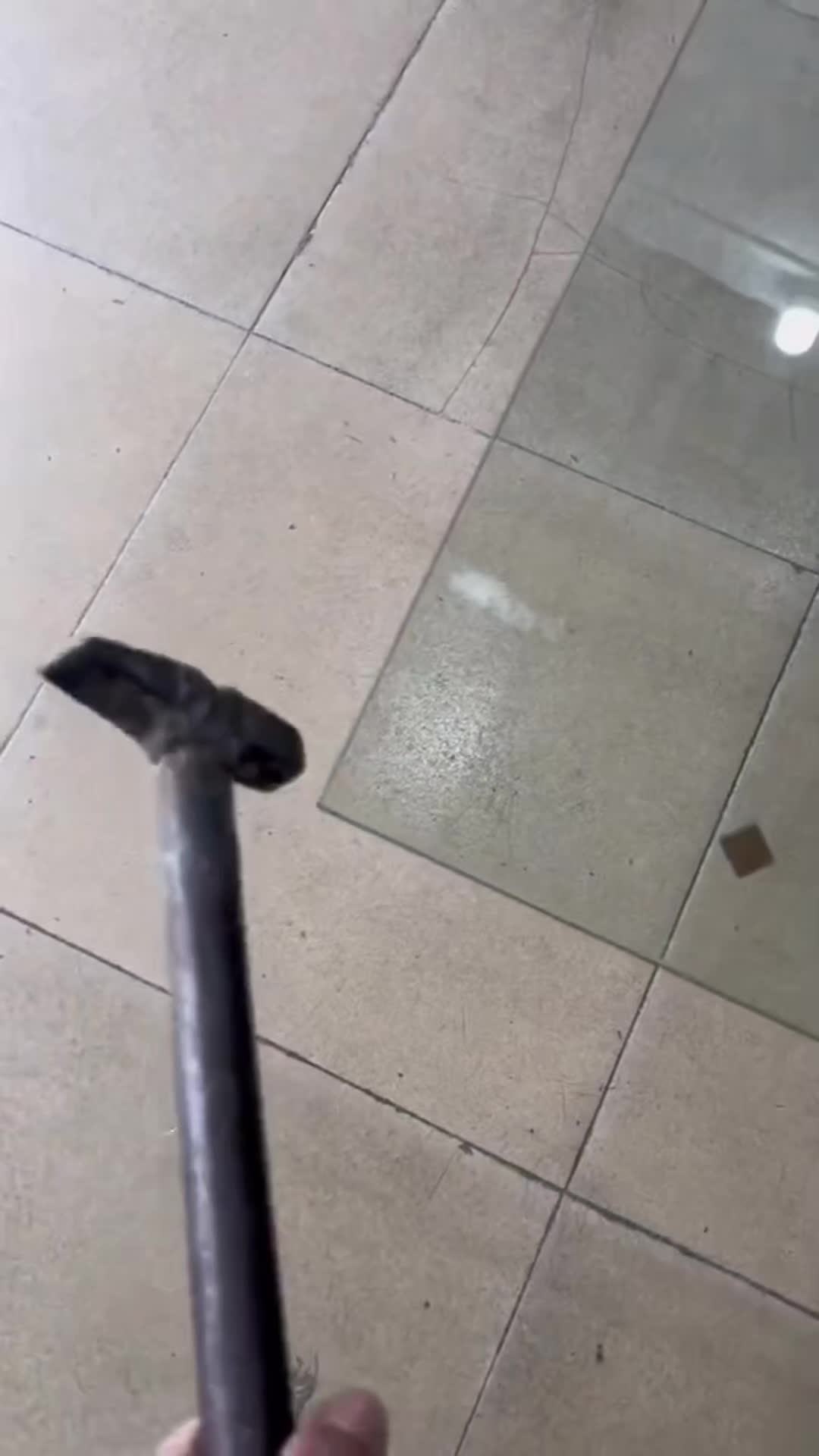 @x666x