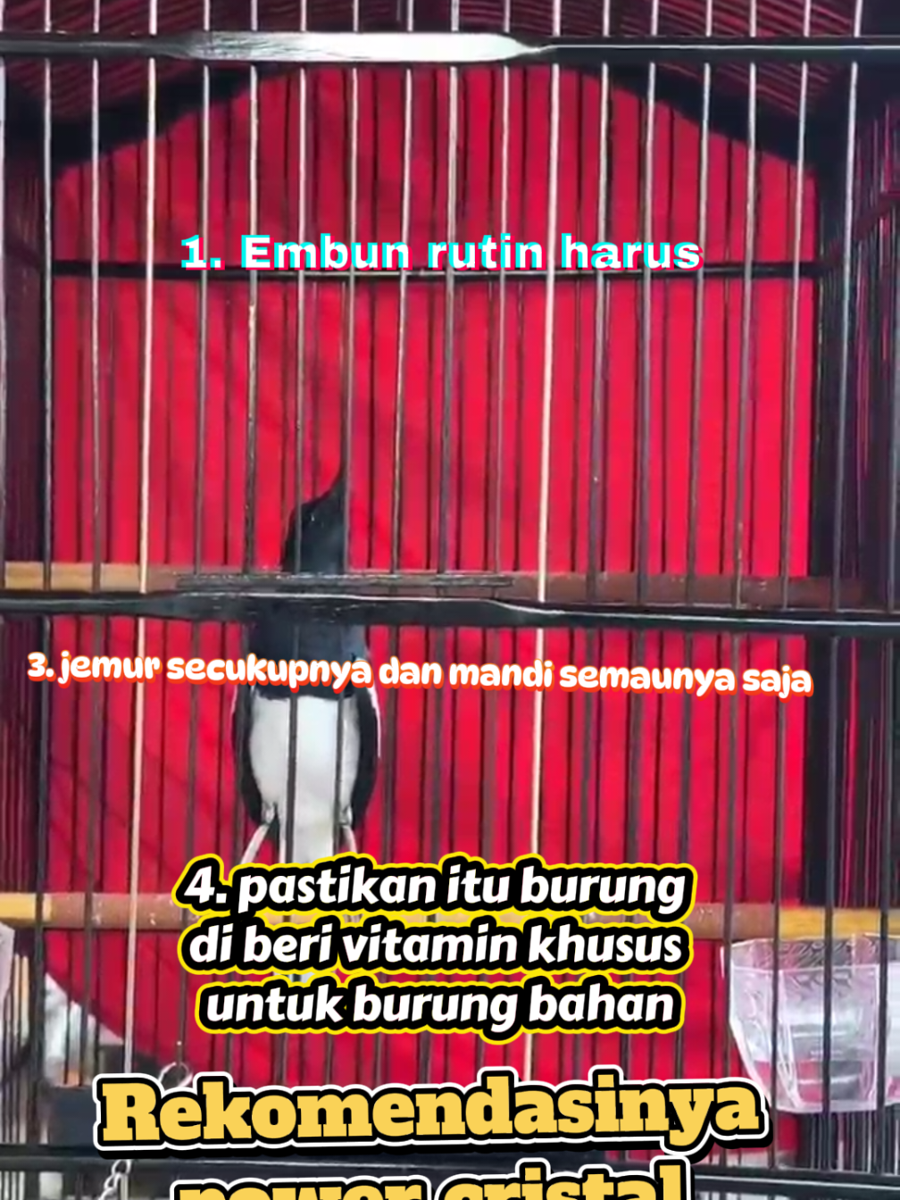 @dunia ternak
