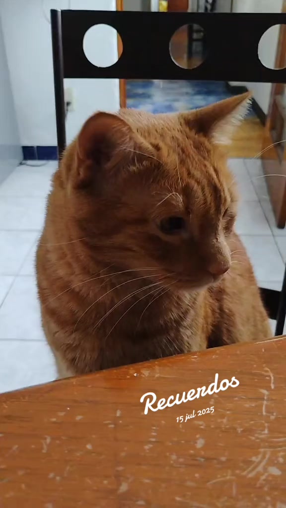 @😻 Estela 😻