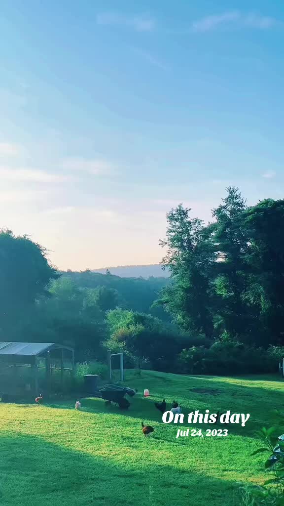 @waterandwoods