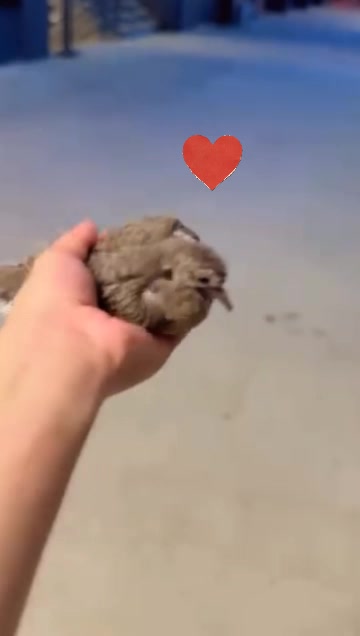 @🩺 نور 🥀❣️!!