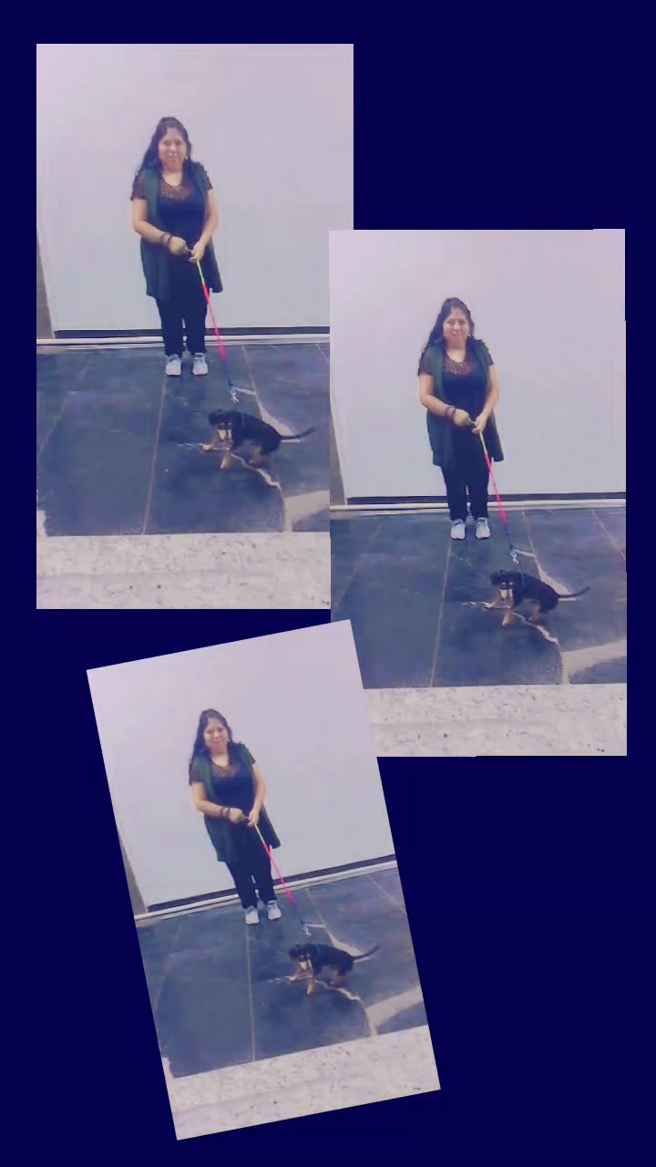 @estrellita v.2