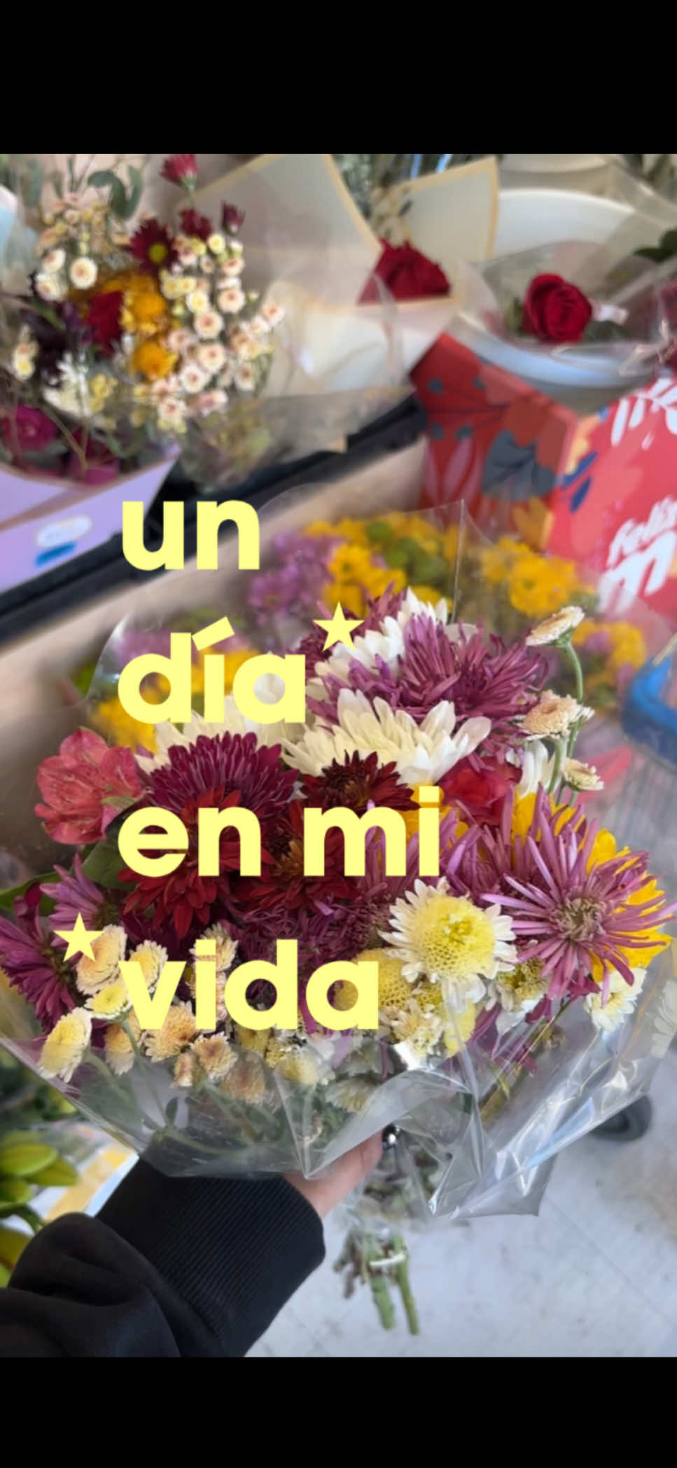@catalina ⋆˚✿˖° 𐙚