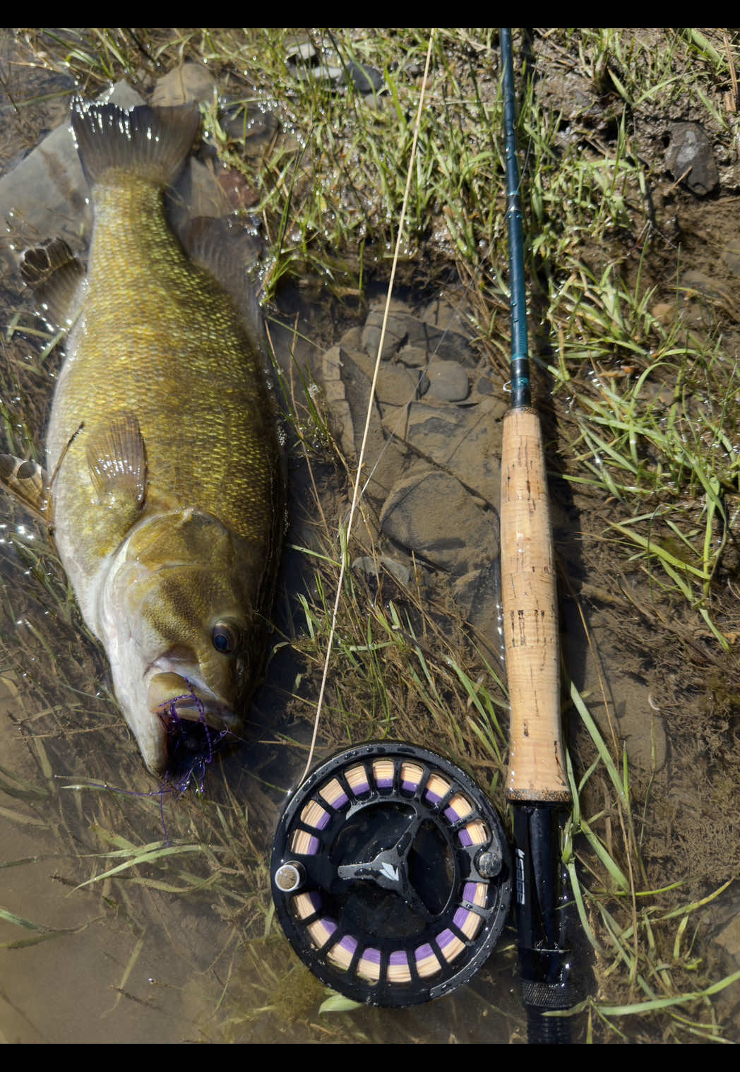 @Fishin_With_B