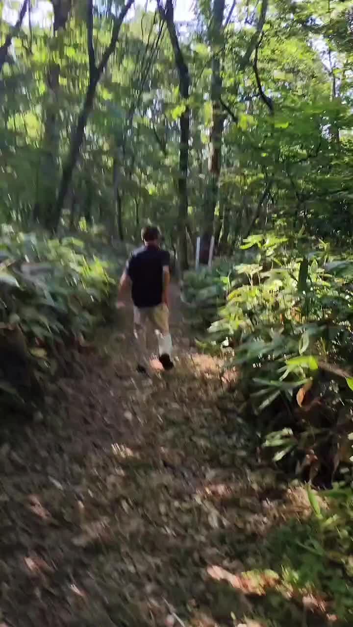 @森田