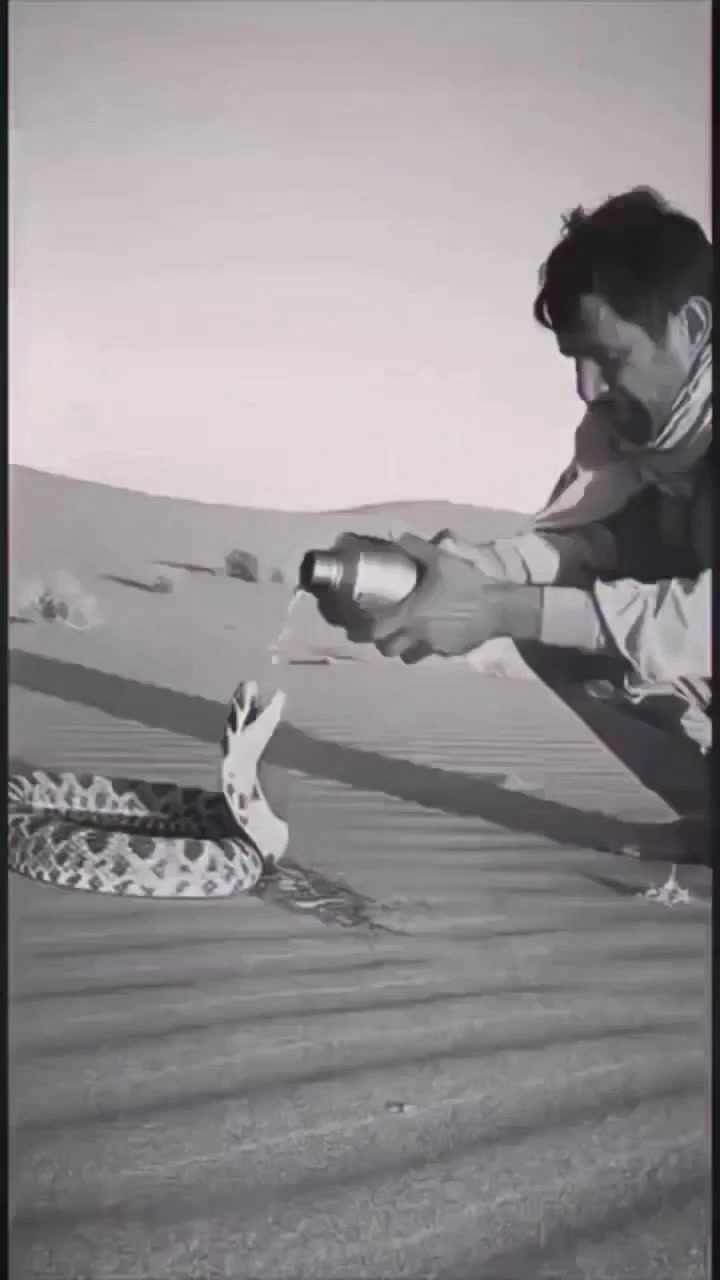 @💔محمد شوجووان فطاراي