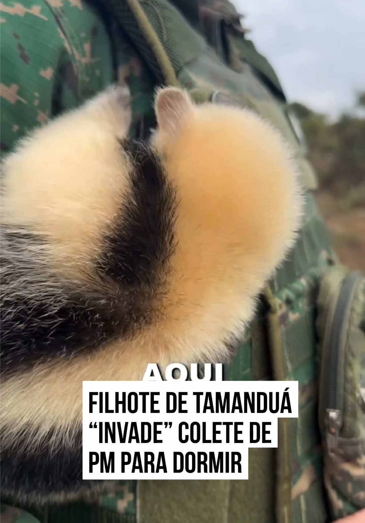 @Metrópoles Oficial
