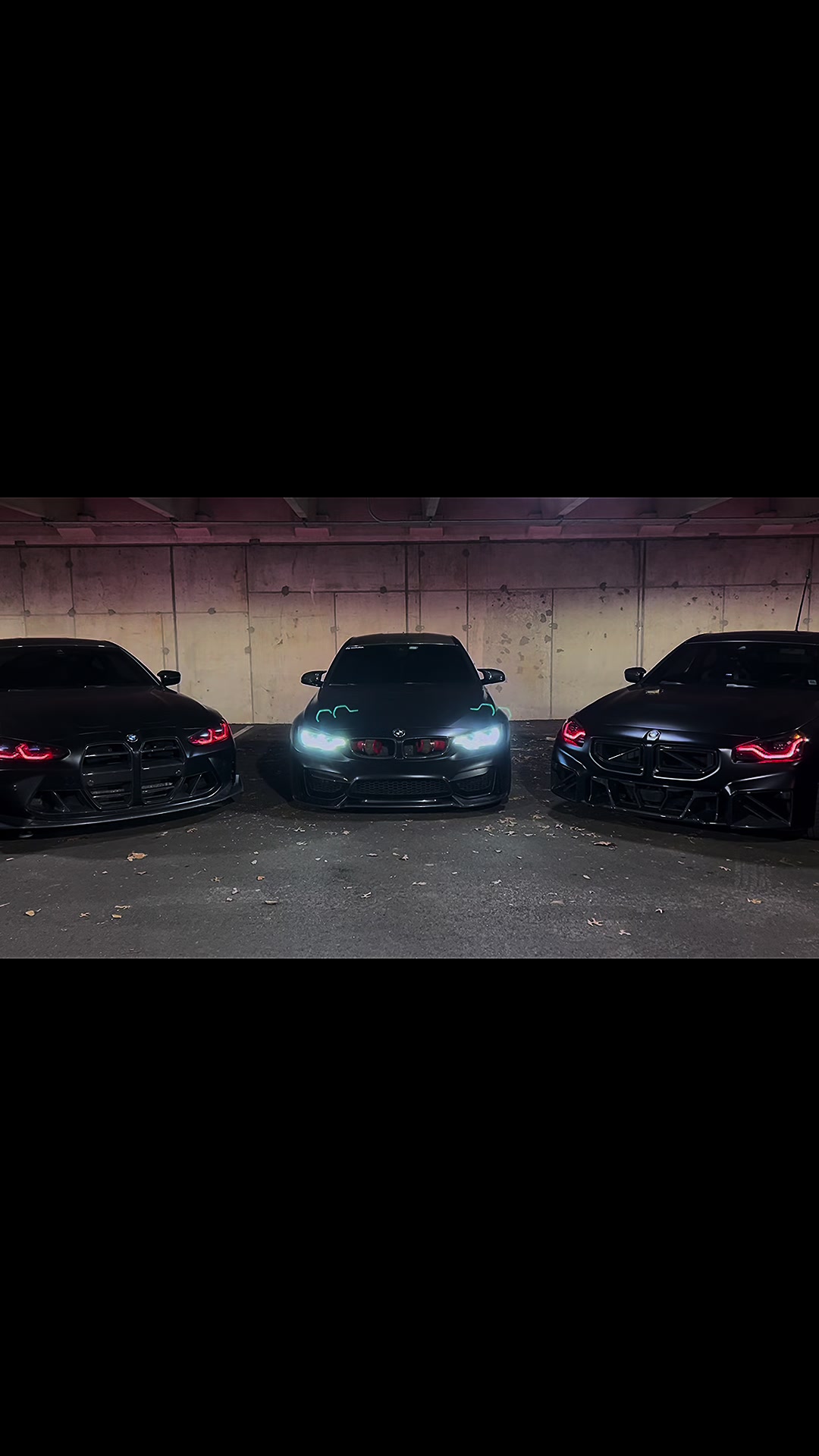 @sʟᴀʏᴇᴅ 🦇