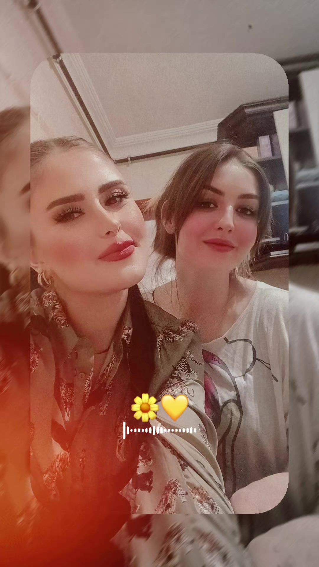 @🐆