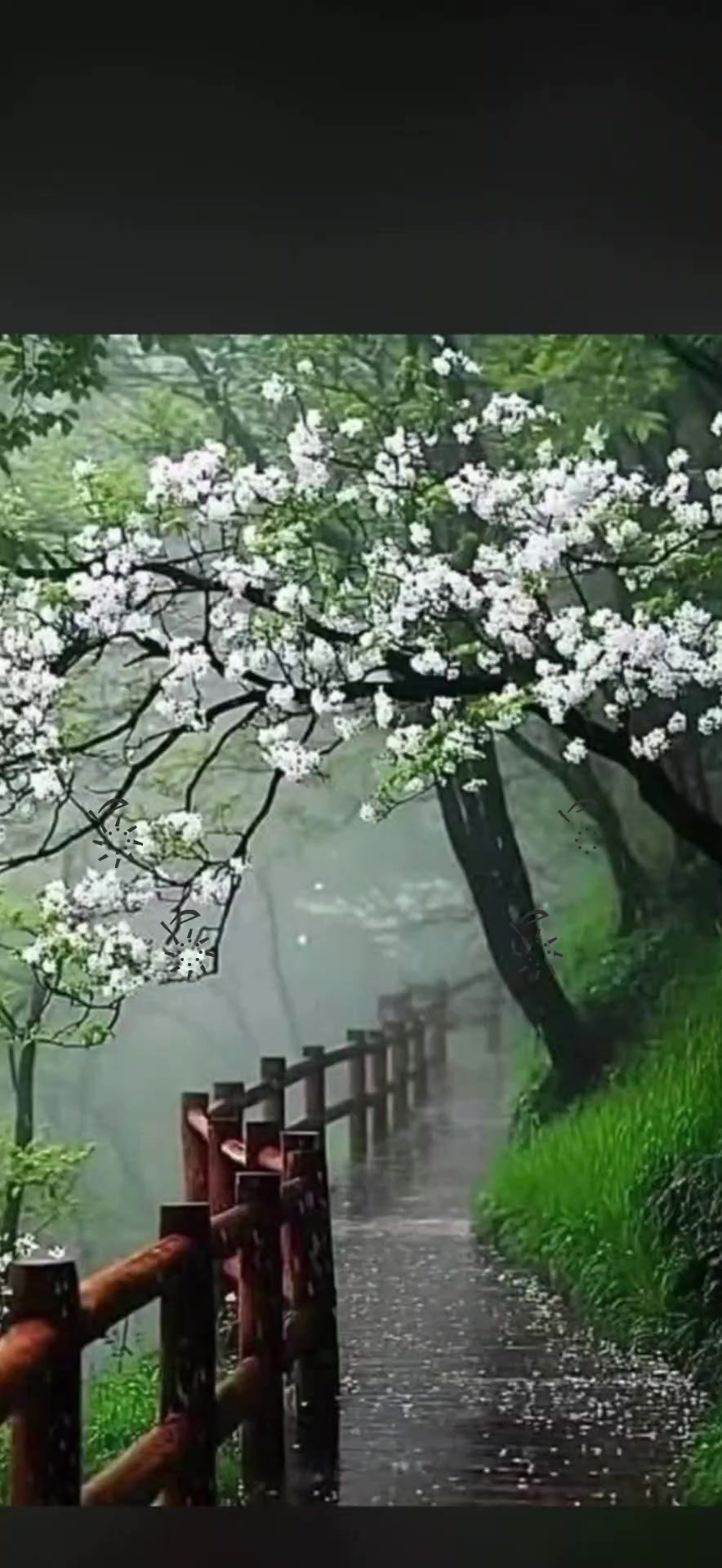 @°๐โ แญา °๐ดโข๋ ๐ดโข์ค แฑ~โ แญา