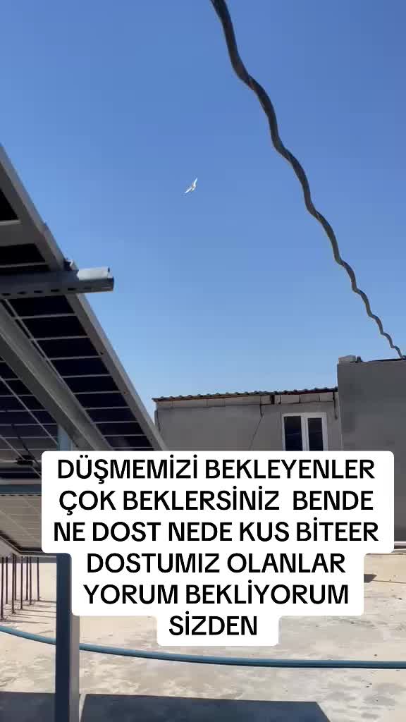 @47 argeş