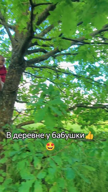 @Анастасия Буглак