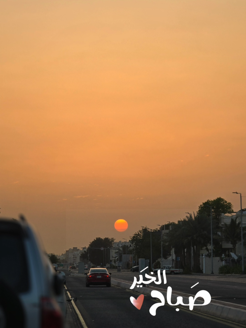 @الرحاله امل والرحال شكيل