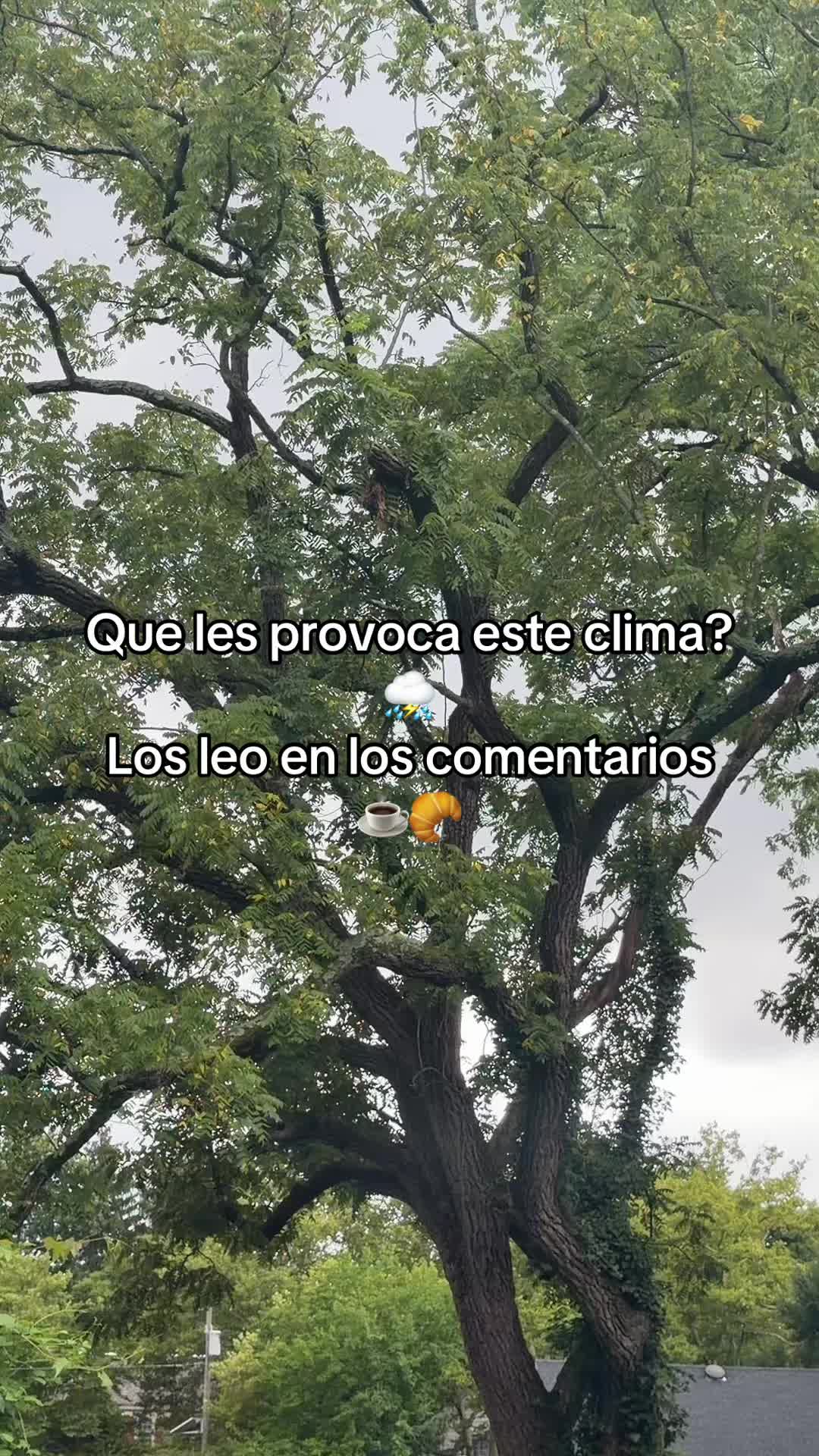 @Somos Latinos