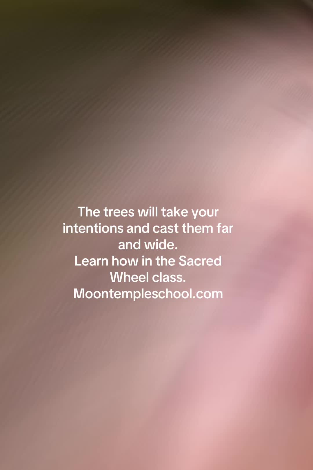 @Tahverlee
