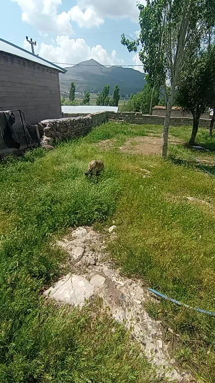 @Yusuf saldık