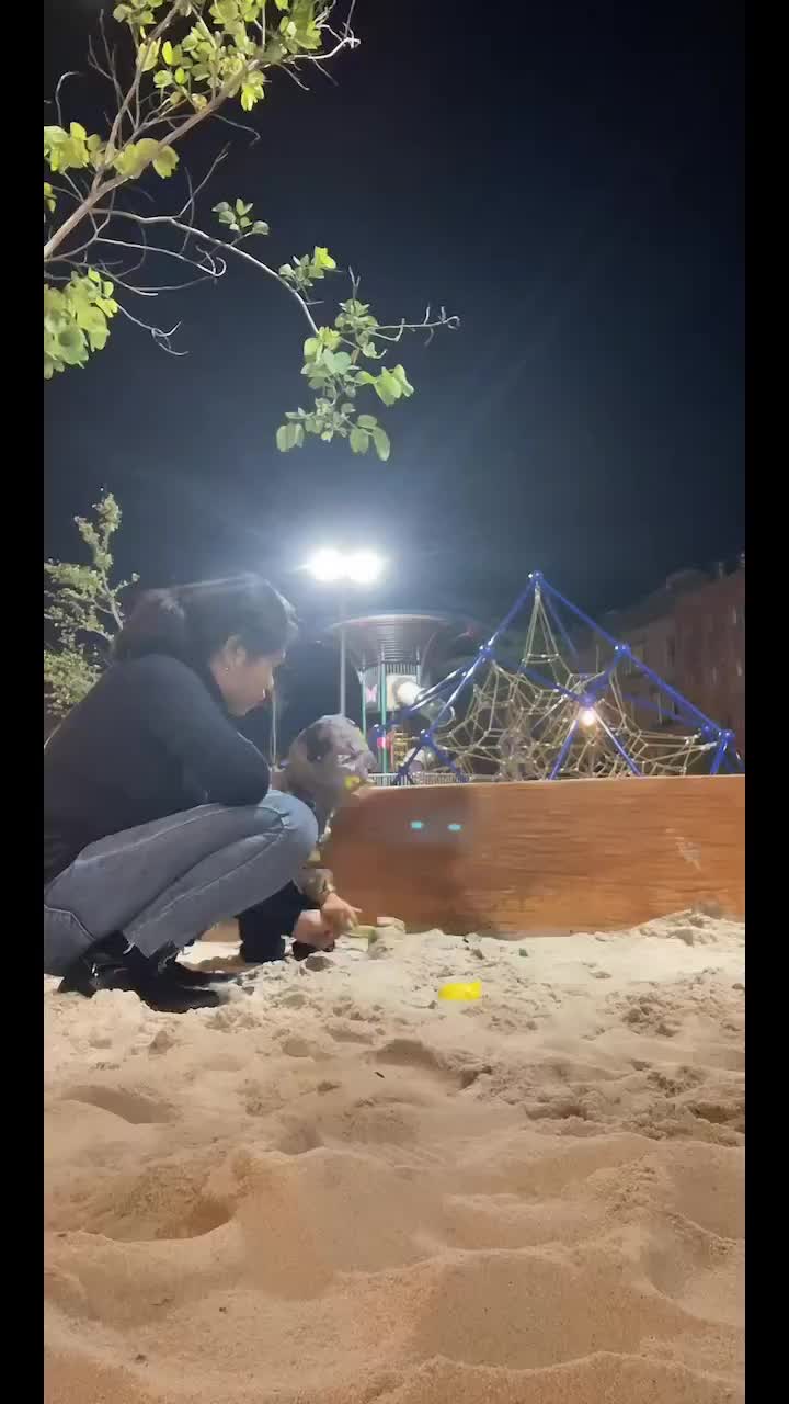 @伊麗莎&middot;埃斯帕諾拉♊️