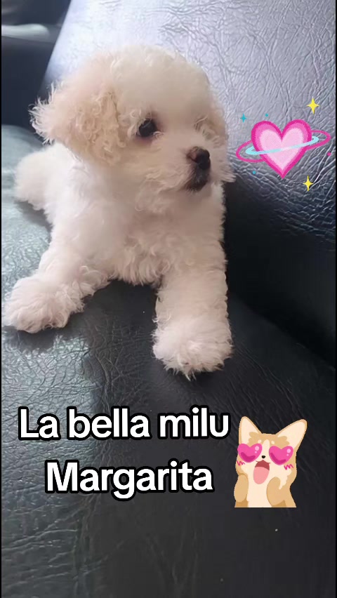 @Carolina villegas