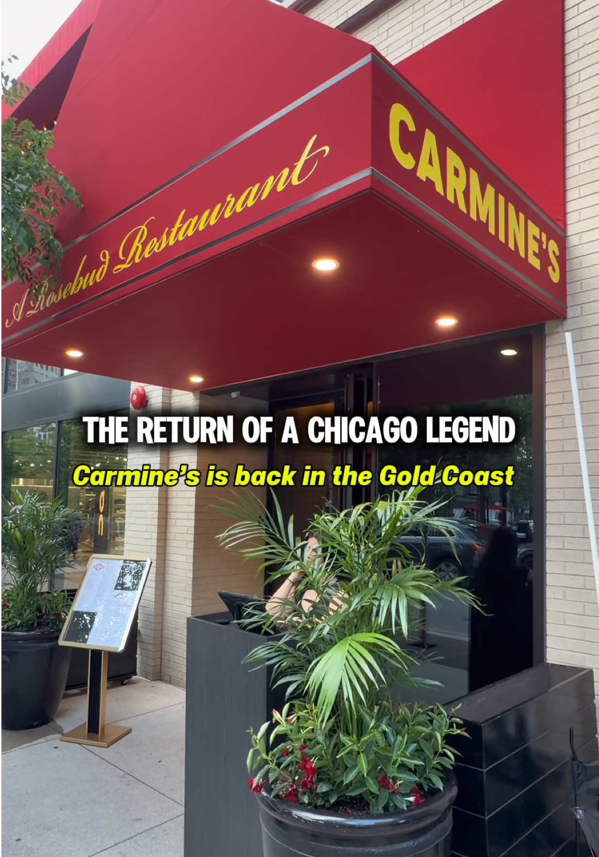@Pooja Naik | Chicago Lifestyle
