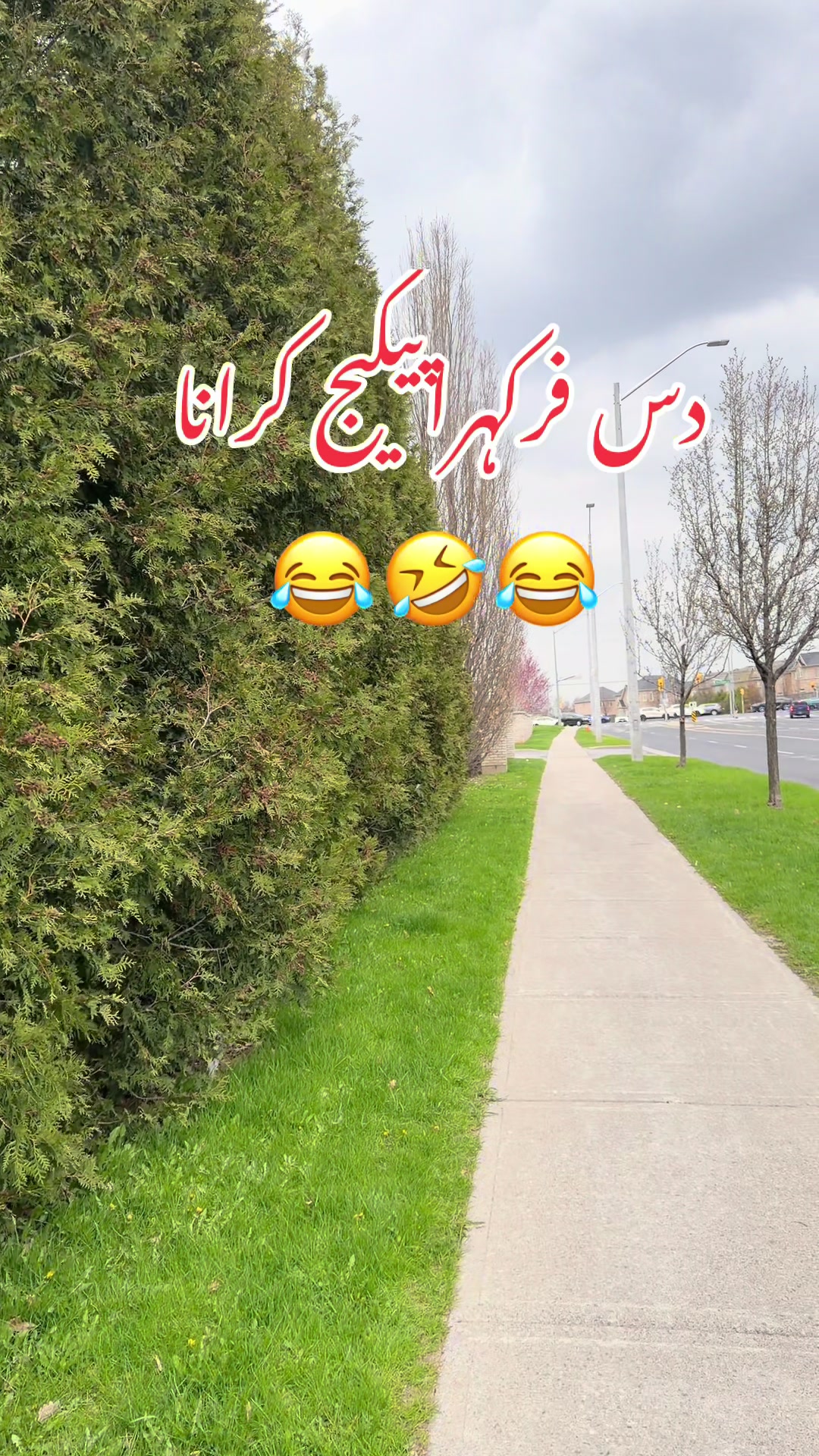 @Hoorain Malik🇨🇦