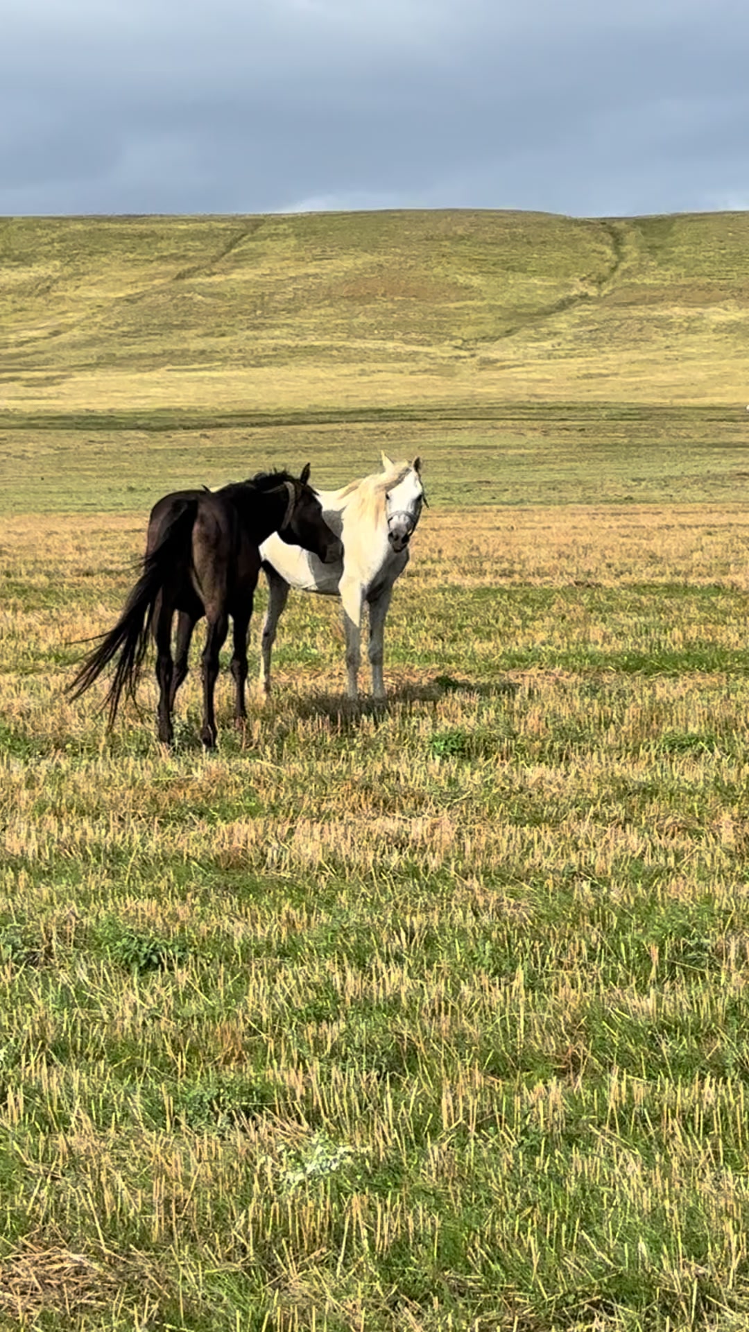 @MakvinStud