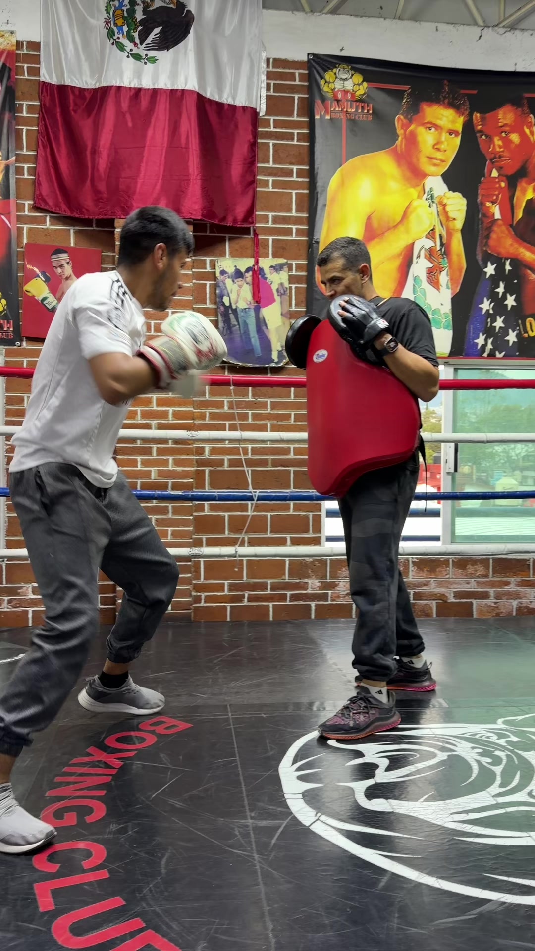 @Yonekura Boxing Club