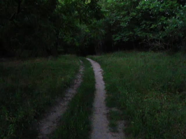 @lost in nostalgia