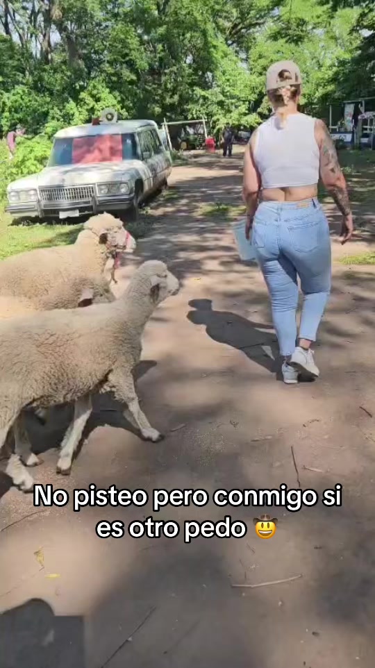 @Beba Lu