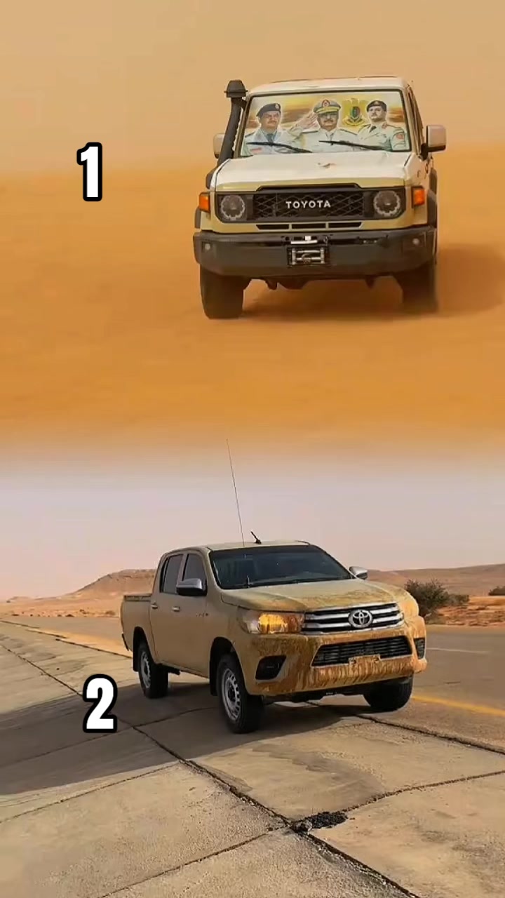 @☠️راعي الشاص☠️