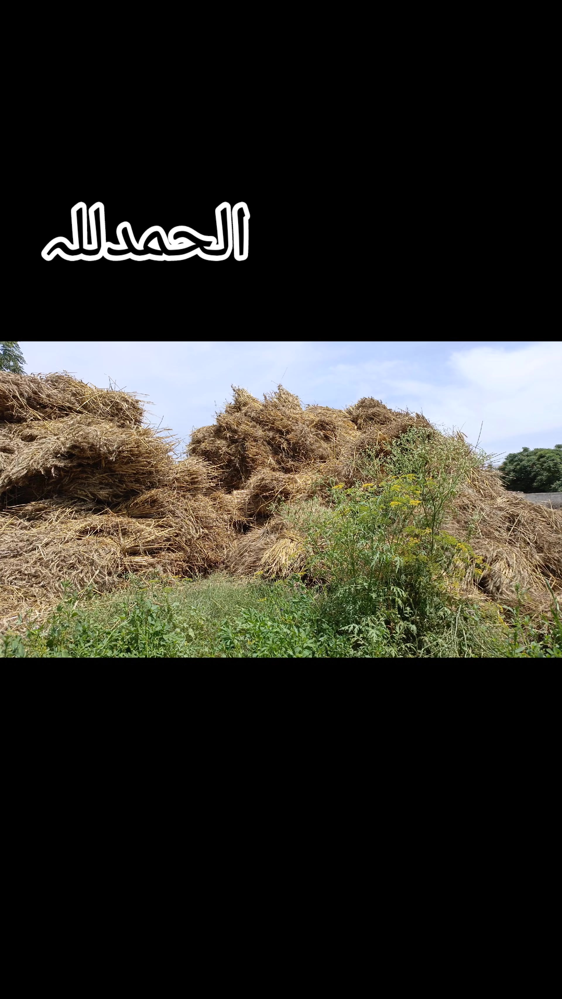 @((°·._.• 𝕂ᕼᵃᶰ عاصم •._.·°))